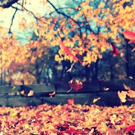 Casa Abuela Дом отдыха Паласиос-де-ла-Вальдуэрна