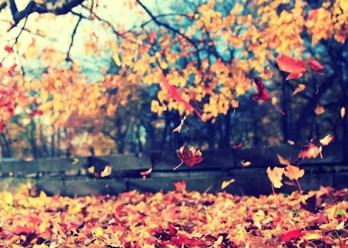 Casa Abuela Prázdninový dům Palacios De La Valduerna